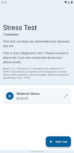 Stress Test Windows 11 的图像结果