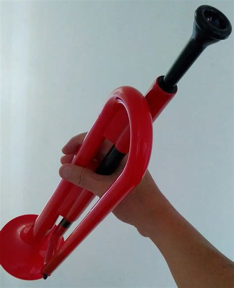 Image result for Bugle Playing