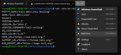 Image result for Customize Windows Terminal