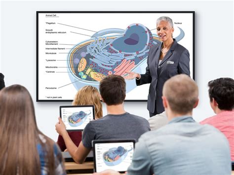 ViewSonic CDE6530 65" 4K Presentation Display - ViewSonic भारत, India