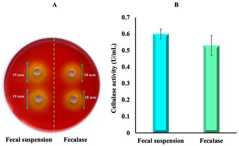 Prebiotic Cellulose–Pullulan Matrix as a “Vehicle” for Probiotic ...