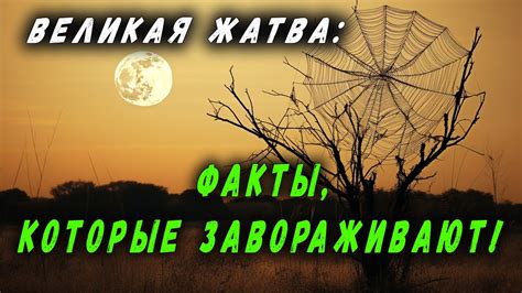 ВЕЛИКАЯ ЖАТВА: ФАКТЫ, КОТОРЫЕ ЗАВОРАЖИВАЮТ - YouTube