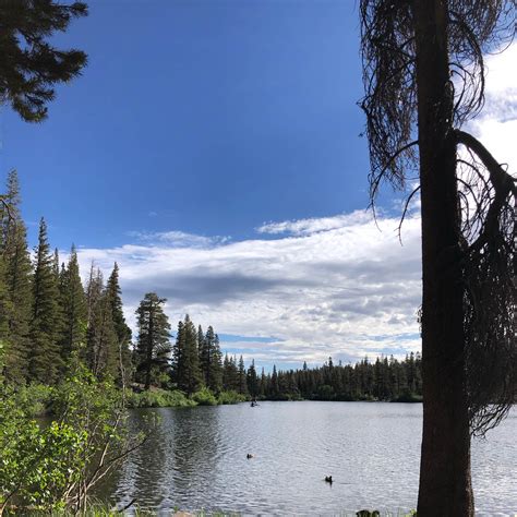 Twin Lakes Campground | Mammoth Lakes, California