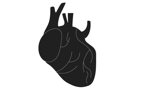 Image result for Obstructive Sleep Apnea