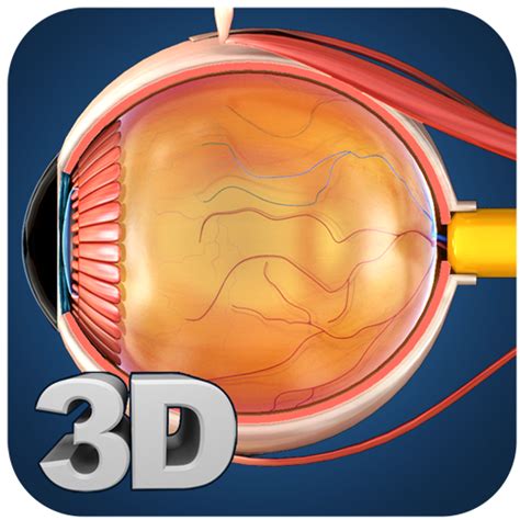 Eye Anatomy Pro. - App on Amazon Appstore