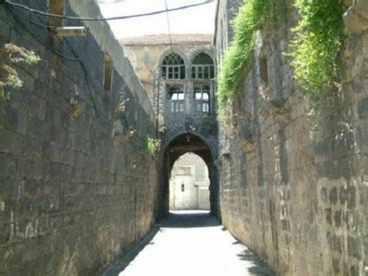 Homs sweet Homs! | Meer