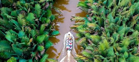 KINABATANGAN WETLANDS RESORT (Kota Kinabatangan) - Specialty Resort ...