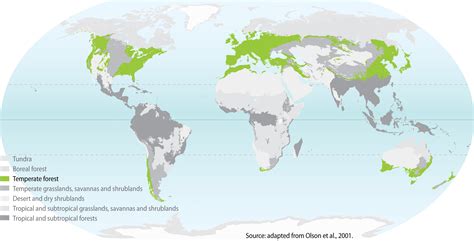 Temperate Forests | GRID-Arendal