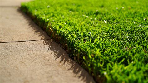 When Is The Best Time To Lay Turf
