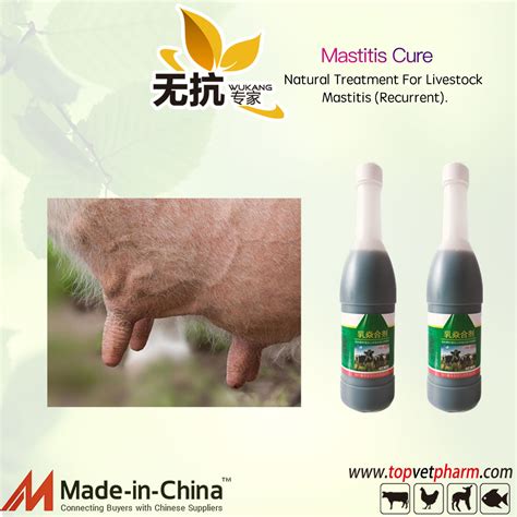 Natural Treatment for Livestock Mastitis (Recurrent) - Bovine Mastitis ...