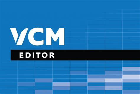VCM Training 的图像结果