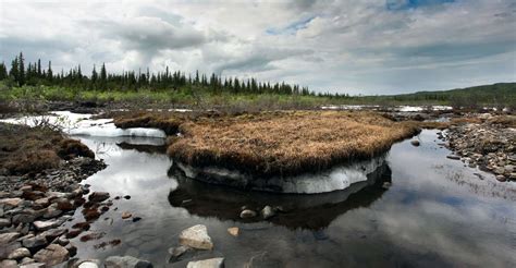 Des « virus zombie » prisonniers du permafrost depuis 48 000 ans ont ...