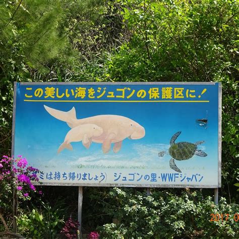 HILL WITH A VIEW OF THE DUGONG - All You Need to Know BEFORE You Go ...