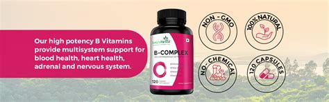 Simply Herbal Vitamin B-Complex Premium Biologically Active Formula-12 ...