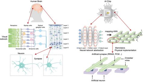 Image result for Neuromorphic Computing Structure