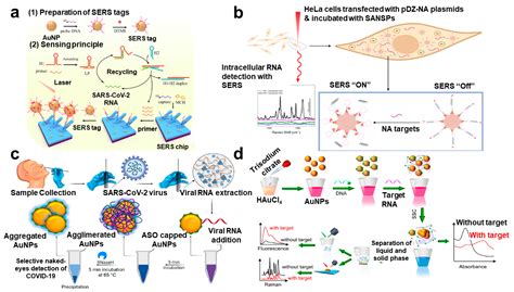 Recent Development in Plasmonic Nanobiosensors for Viral DNA/RNA Biomarkers