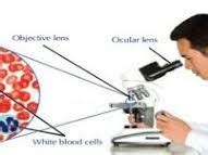 Image result for Magnification Calculation Chart