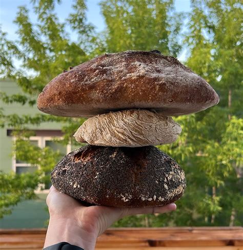 Contact — Moxie Bread Co