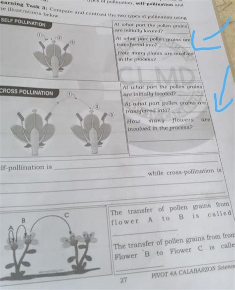 Learning Task 3: Compare and contrast the two types of pollination ...