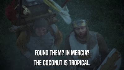 Image result for Monty Python Coconuts GIF