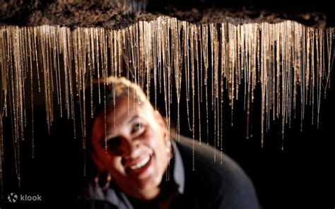 Hobbiton Movie Set & Waitomo Caves Small Group Tour From Auckland ...