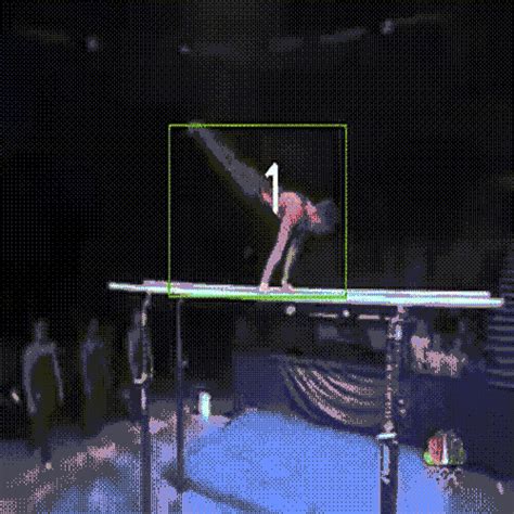 Prof. C Krishna Mohan