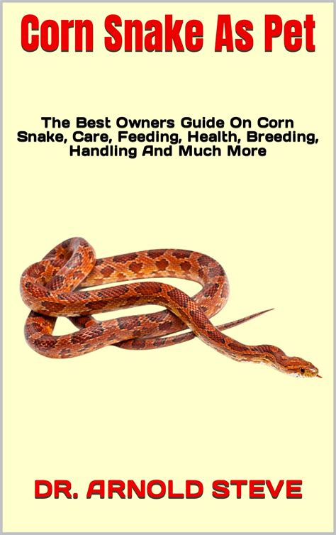 Buy Corn Snake As Pet : The Best Owners Guide On Corn Snake, Care ...