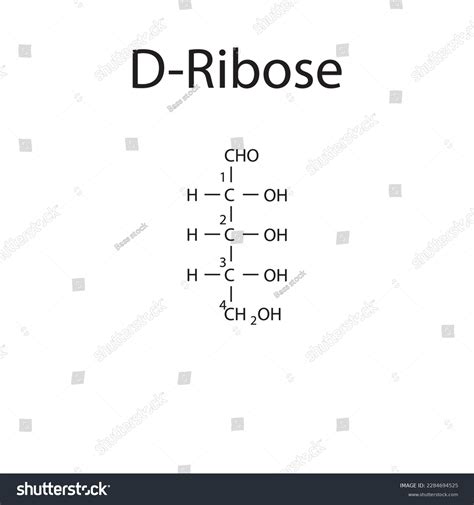 Straight Chain Form Chemical Structure D-ribose Stock Vector (Royalty Free) 2284694525 ...