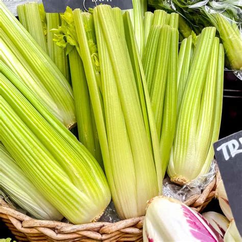 10 Best Celery Substitutes - Through The Fibro Fog