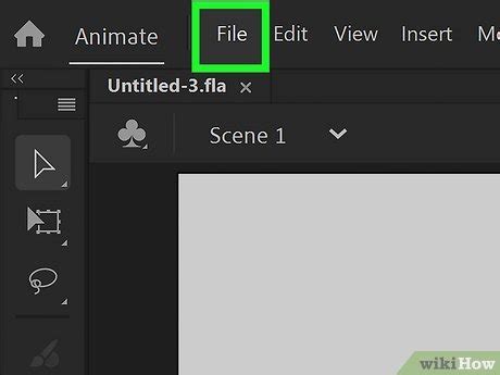 Adobe Flash Animation Tutorial 的图像结果