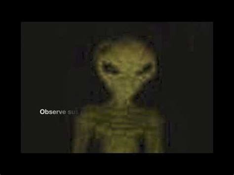 Image result for Alien Blood Type Vidos Reptiliain