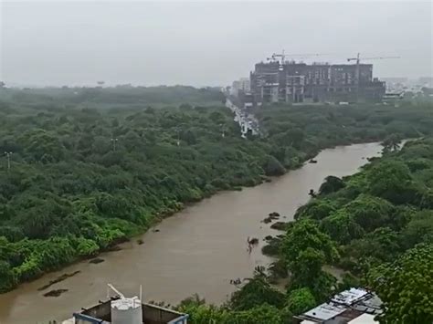 Ajwa dam overflows again Vishwamitri river rises to more than 18 feet ...