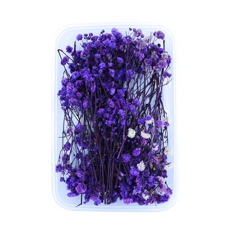 Purple Baby's Breath Flowers (Naturally Preserved | Dried) (Epoxy Resi ...
