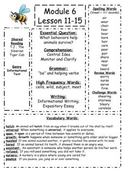 3rd Grade Module 6 Review 的图像结果