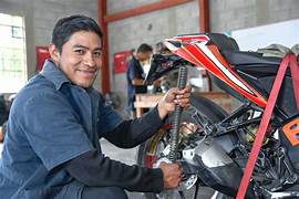 Mecánico Especializado