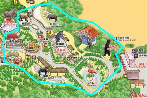 2022年广州长隆野生动物园旅游全攻略(网上预订门票）- 广州本地宝