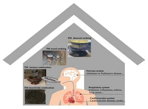 Chemical Characterization and Health Risk Assessment of Particulate ...