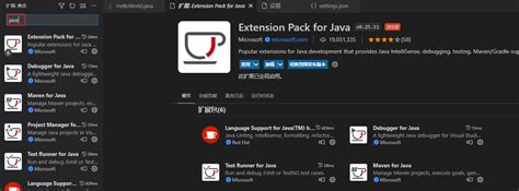 How to Install Java 18 for Vscode 的图像结果