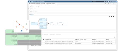 SAS Insurance Capital Management | SAS India