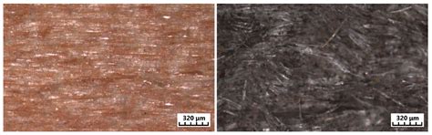 Surface Changes of Selected Hardwoods Due to Weather Conditions