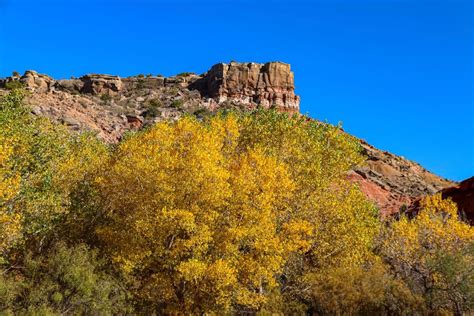Partners In Palo Duro Canyon Foundation - 2025 Photography Contest, Sad ...