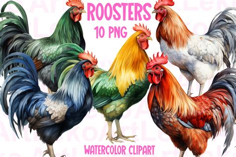Roosters Clipart Graphic by LekoArt · Creative Fabrica