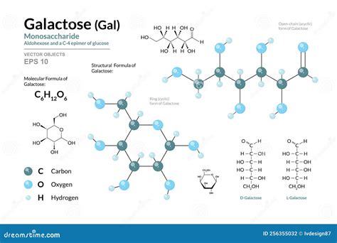 Molecular Structure Of Galactose Monosaccharides Definition,