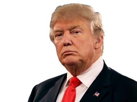 Donald Trump PNG, Donald Trump Transparent Background - FreeIconsPNG