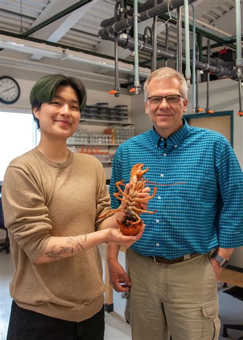 UNE undergraduate receives BioME grant to study rare lobster larvae