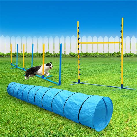 Quality Dog Agility Equipment at Janita Huang blog
