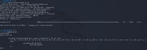 Image result for Random IP