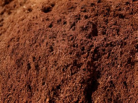 Image result for Coco Peat Sticker High Resolution