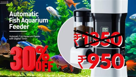 Cloning Aqua Pets & Fish Aquarium Shop in Salem – cloningaquapets