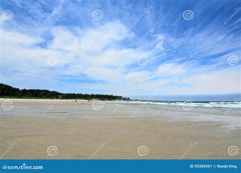Bastendorff Beach, Coos County Park, Oregon Stock Image - Image of dogs ...